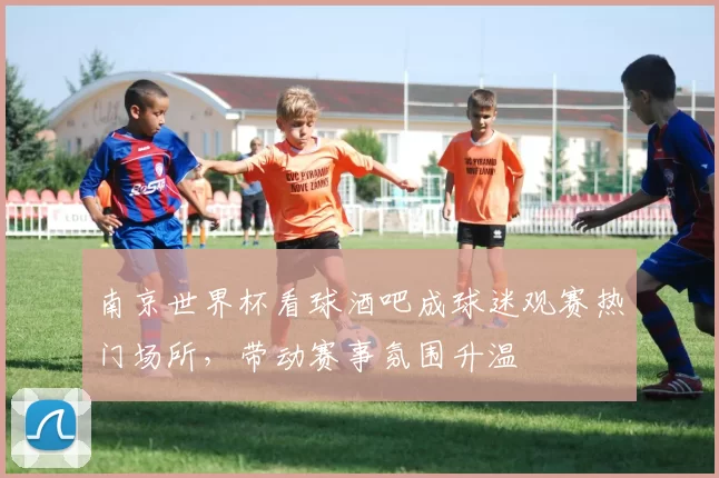南京世界杯看球酒吧成球迷观赛热门场所,带动赛事氛围升温