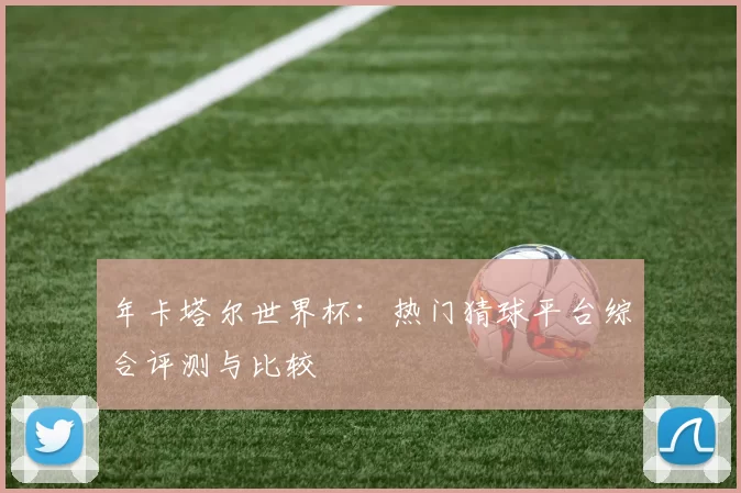 年卡塔尔世界杯：热门猜球平台综合评测与比较