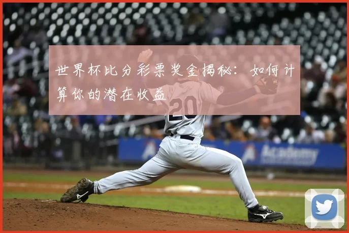 世界杯比分彩票奖金揭秘：如何计算你的潜在收益