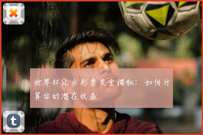 世界杯比分彩票奖金揭秘:如何计算你的潜在收益
