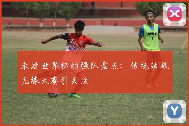 未进世界杯的强队盘点:传统劲旅无缘大赛引关注
