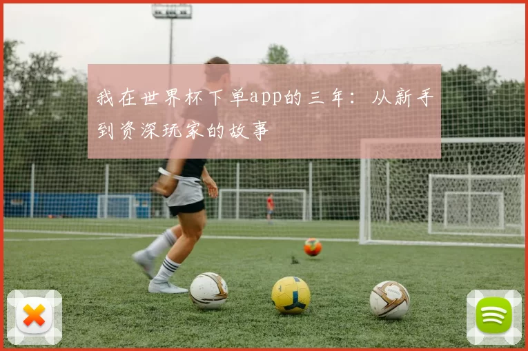 我在世界杯下单app的三年：从新手到资深玩家的故事