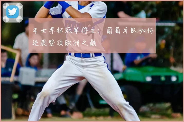 年世界杯冠军得主:葡萄牙队如何逆袭登顶欧洲之巅
