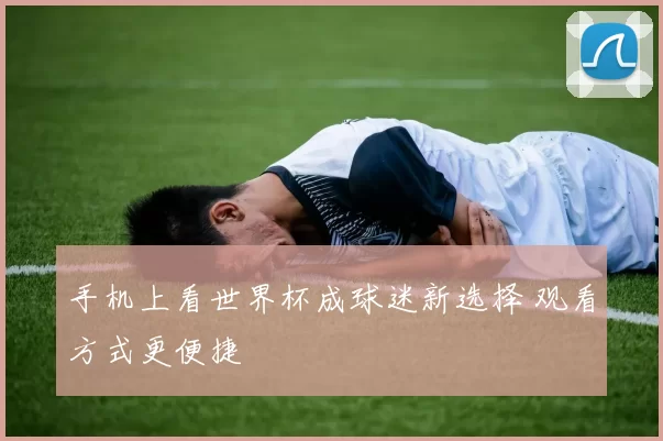手机上看世界杯成球迷新选择 观看方式更便捷