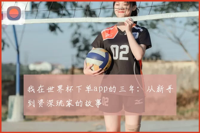 我在世界杯下单app的三年:从新手到资深玩家的故事