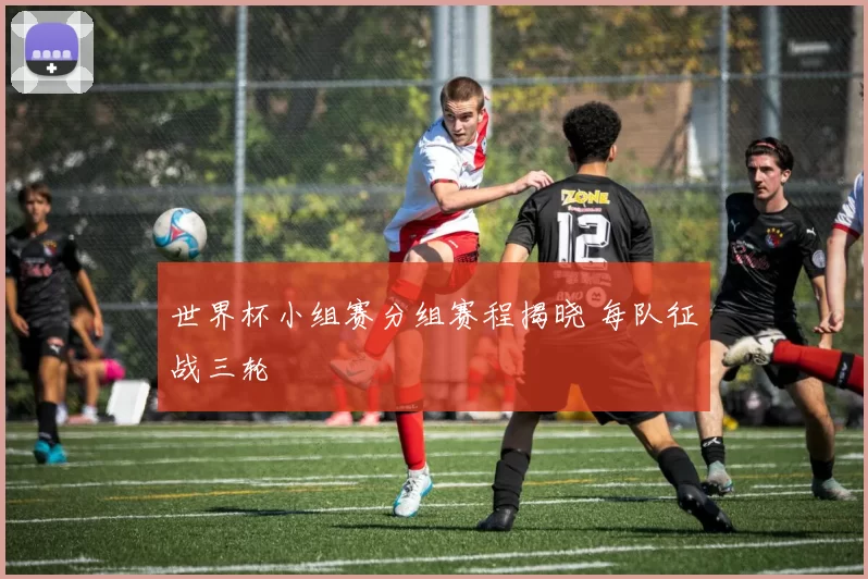 世界杯小组赛分组赛程揭晓 每队征战三轮