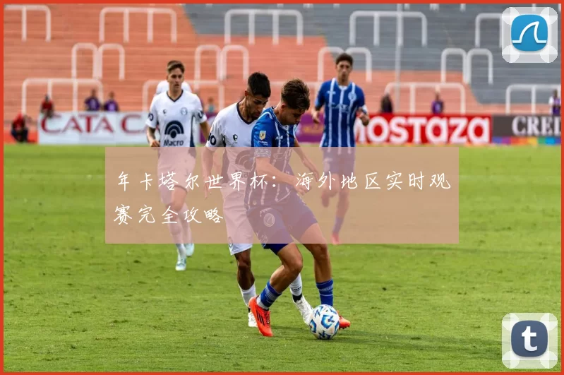 年卡塔尔世界杯:海外地区实时观赛完全攻略