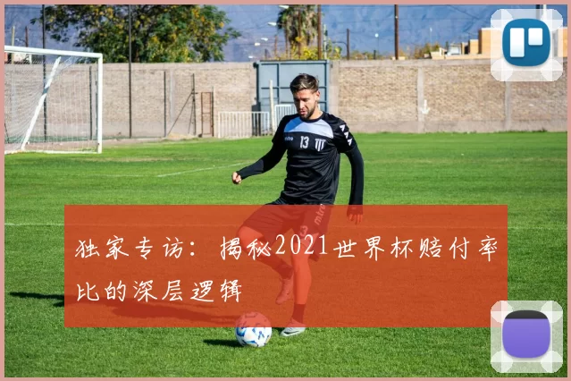 独家专访:揭秘2021世界杯赔付率比的深层逻辑