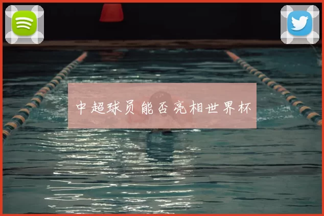 中超球员能否亮相世界杯