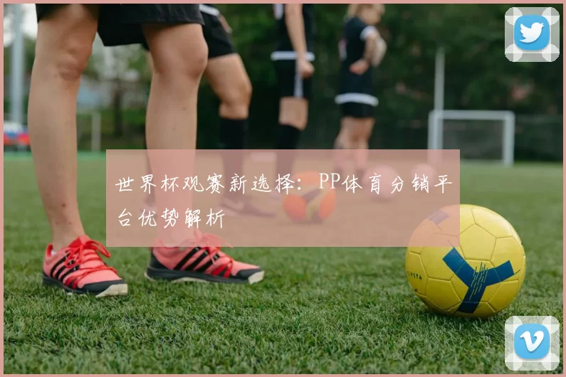 世界杯观赛新选择:PP体育分销平台优势解析